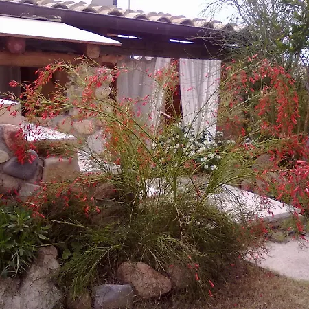 Casa Vacanza Il Solarium Sul Golfo *